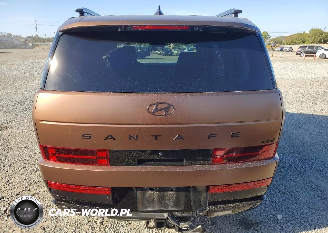 2025 Hyundai Santa Fe Calligraphy VIN:5NMP54G16SH027101 - 6