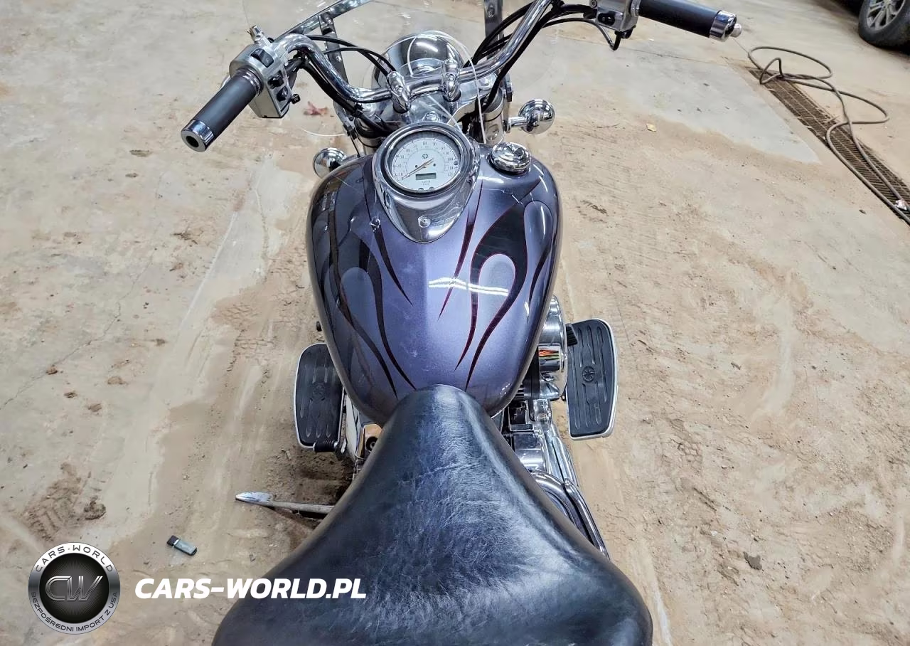 2009 Yamaha Xvs1100 A VIN:JYAVP11E99A116866 - 6