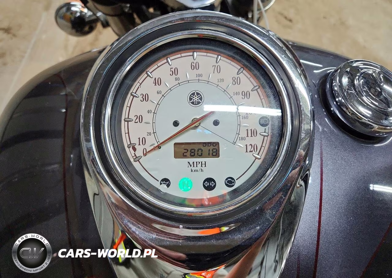 2009 Yamaha Xvs1100 A VIN:JYAVP11E99A116866 - 7