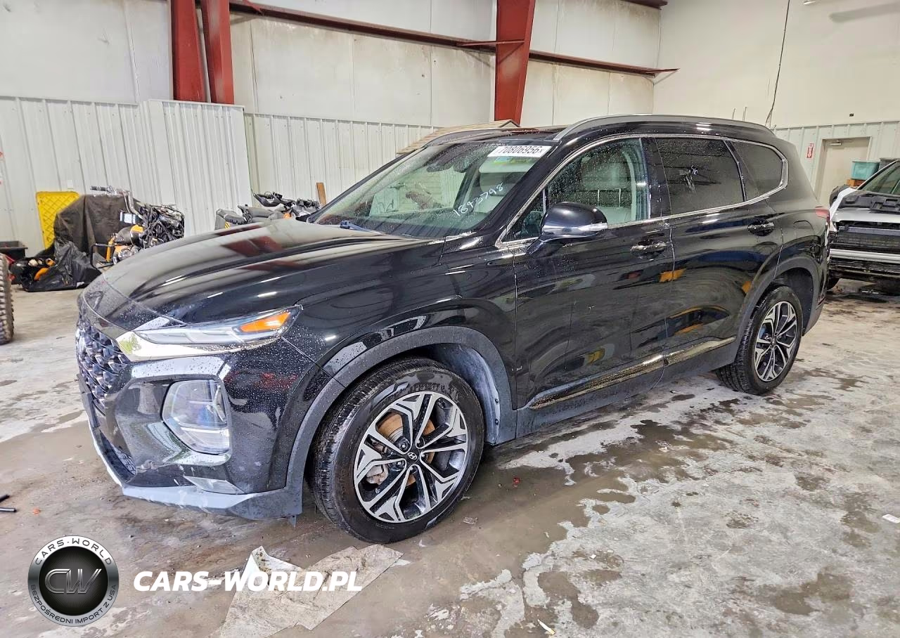 2019 Hyundai Santa Fe Limited 2.0T VIN:5NMS5CAA4KH013114 - 1
