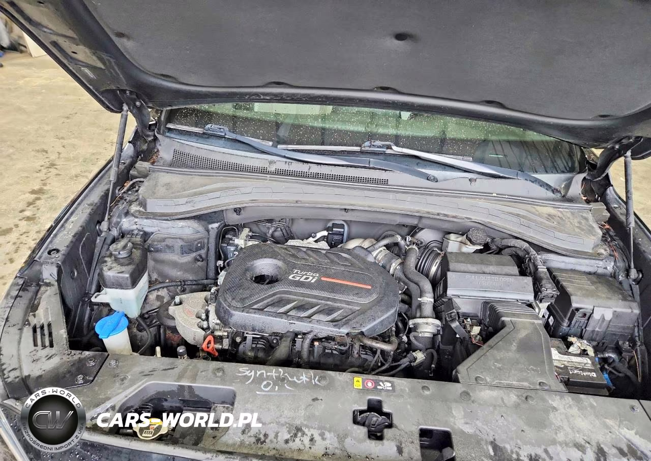 2019 Hyundai Santa Fe Limited 2.0T VIN:5NMS5CAA4KH013114 - 12