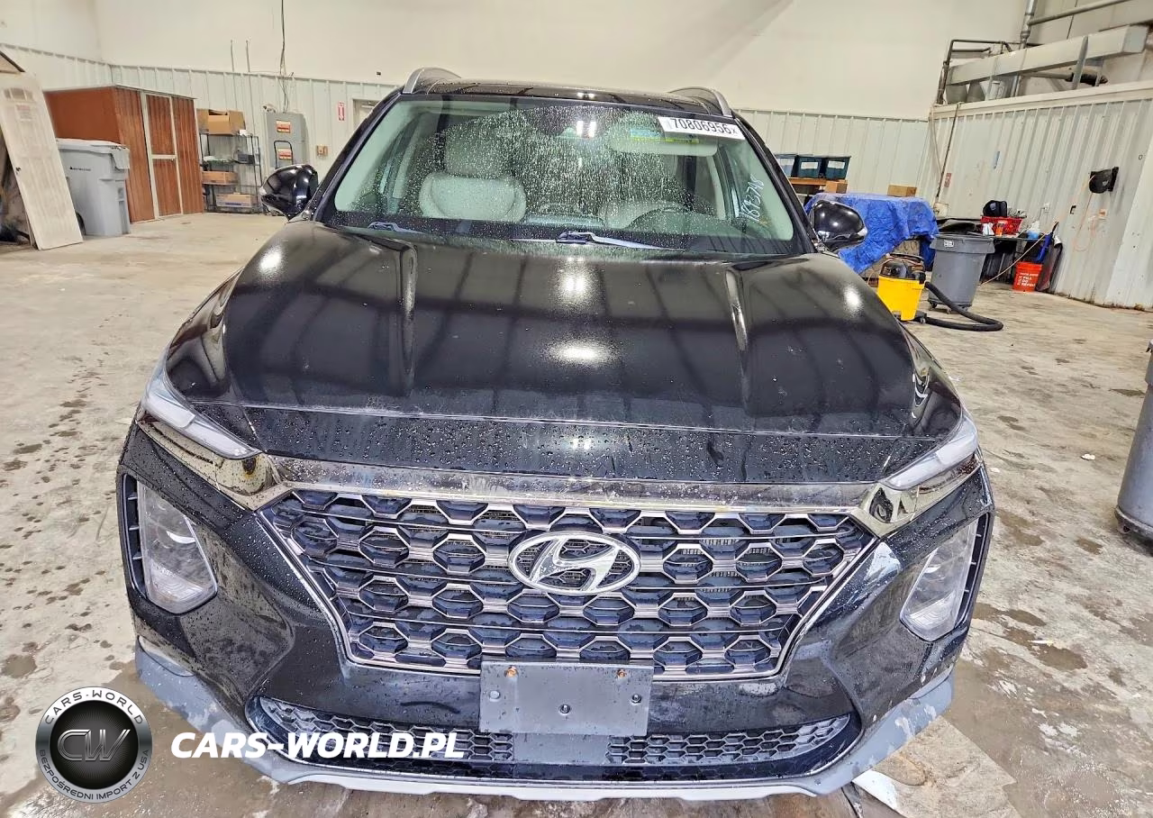 2019 Hyundai Santa Fe Limited 2.0T VIN:5NMS5CAA4KH013114 - 5