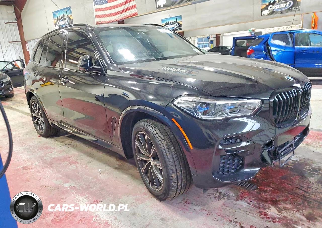 2022 BMW X5 xDrive40I VIN:5UXCR6C03N9L41198 - 4