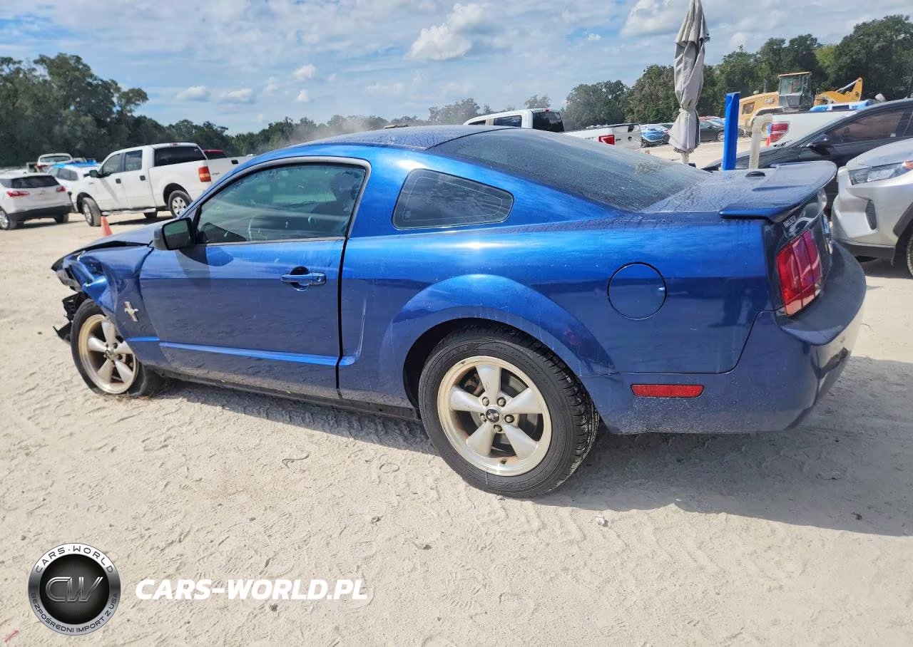 2008 Ford Mustang VIN:1ZVHT80N485150449 - 2