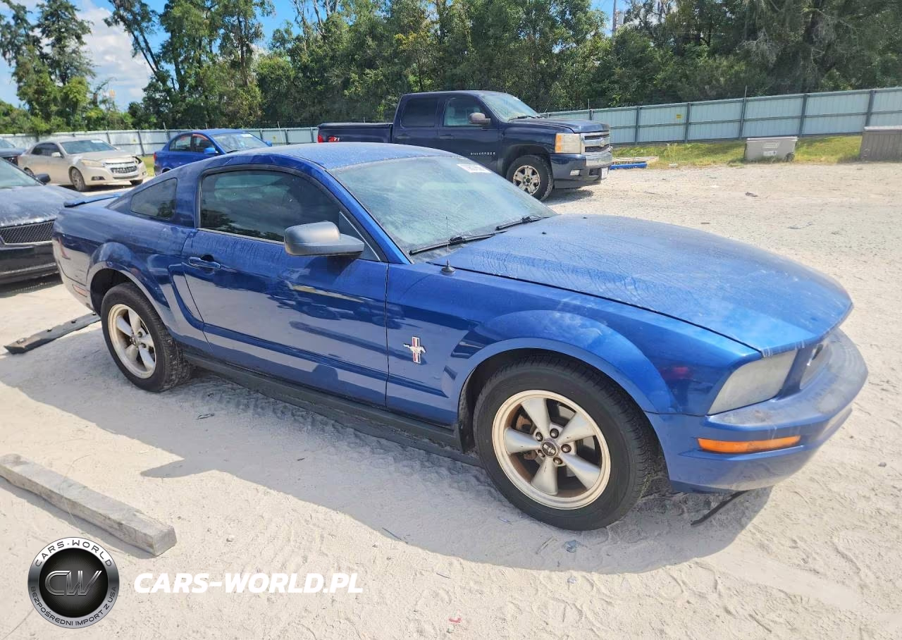 2008 Ford Mustang VIN:1ZVHT80N485150449 - 4