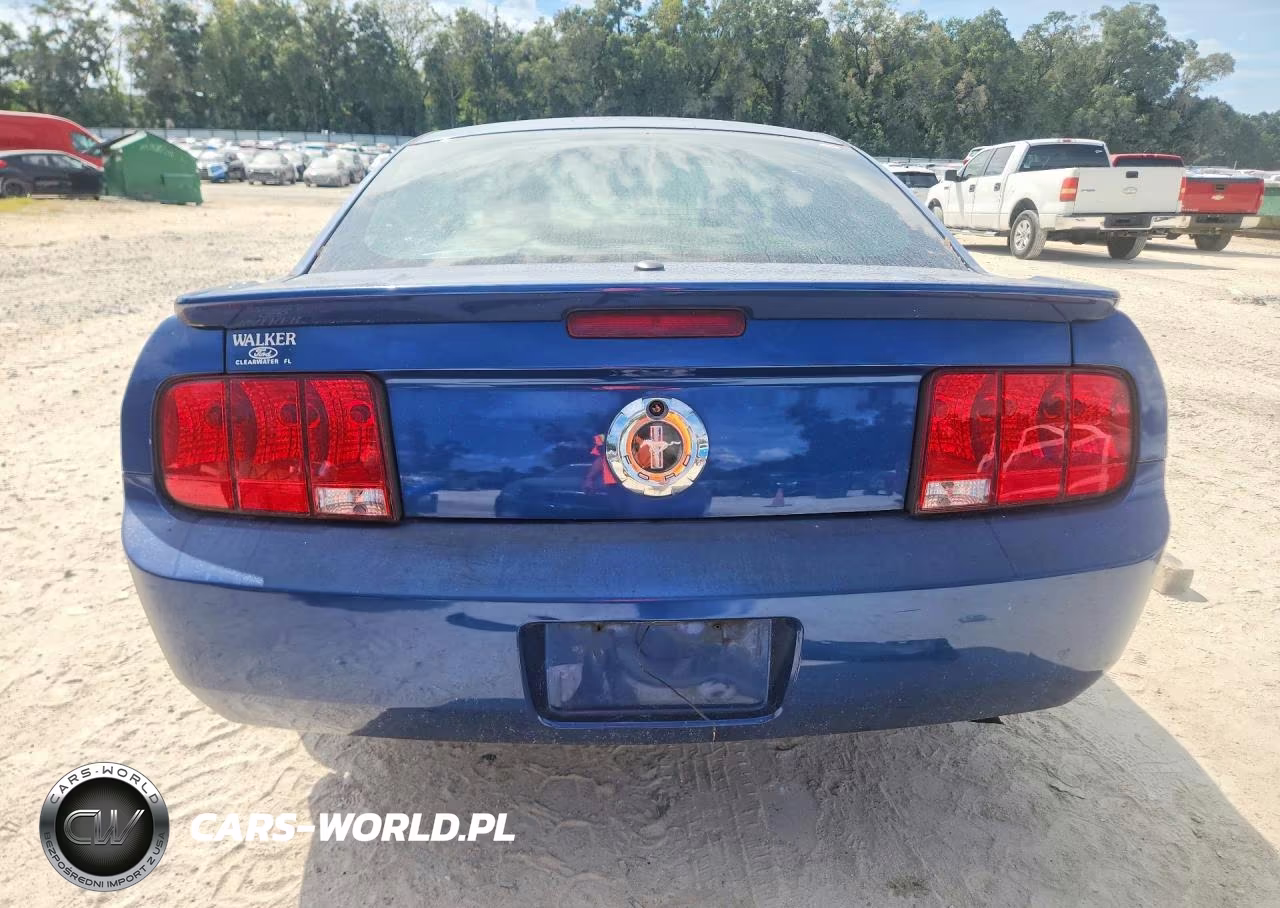 2008 Ford Mustang VIN:1ZVHT80N485150449 - 6