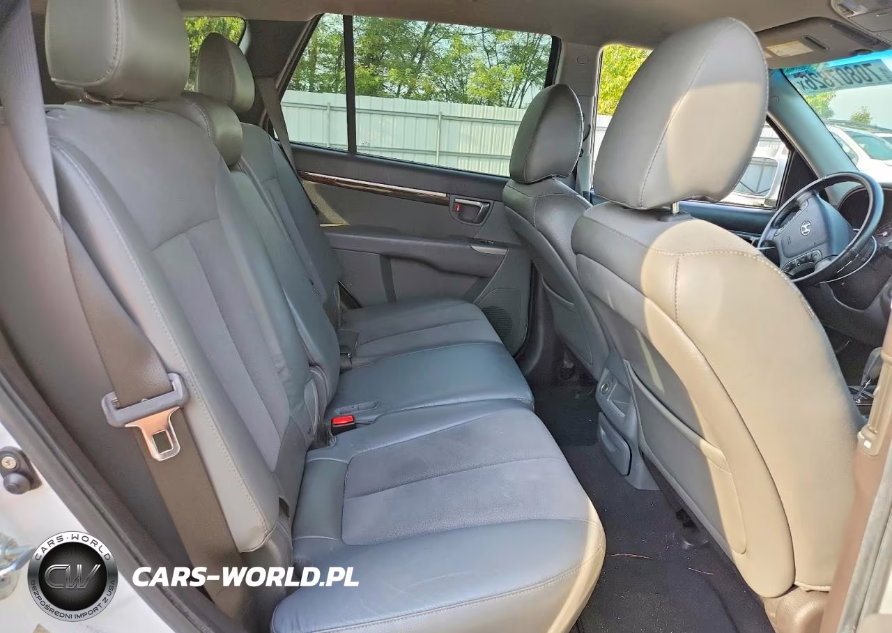 2010 Hyundai Santa Fe Se VIN:5NMSHDAG2AH345195 - 10
