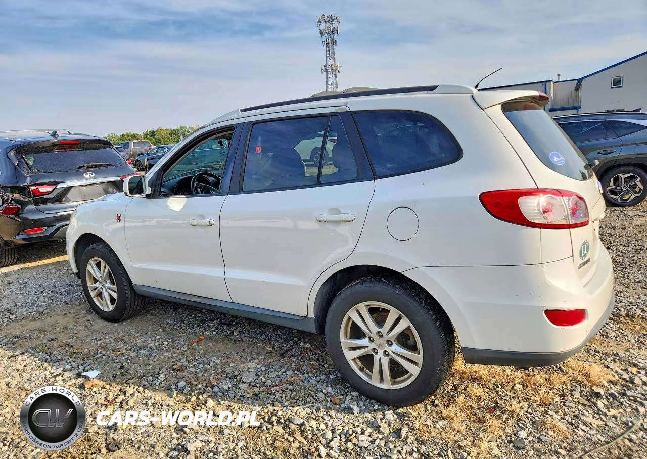 2010 Hyundai Santa Fe Se VIN:5NMSHDAG2AH345195 - 2