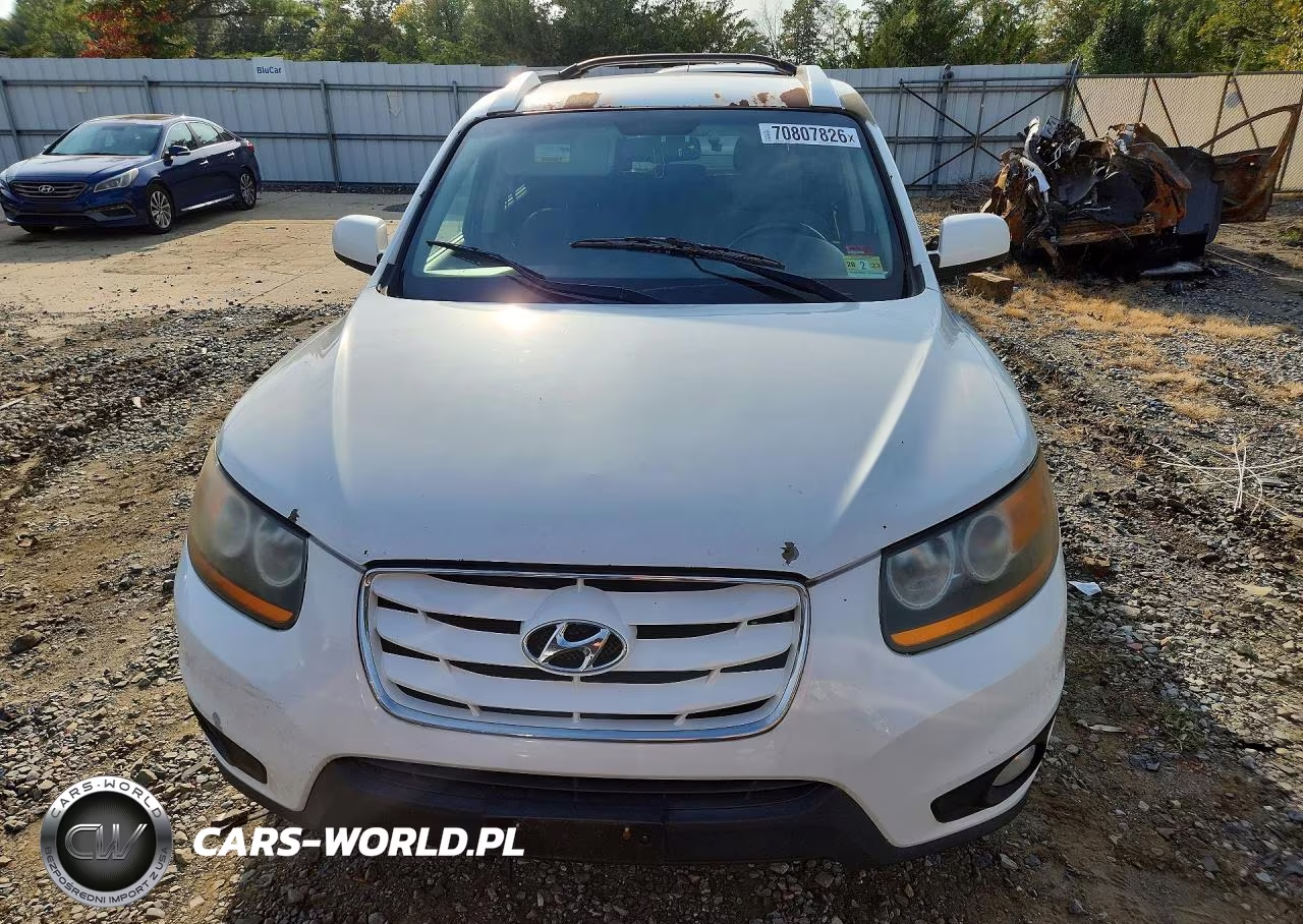 2010 Hyundai Santa Fe Se VIN:5NMSHDAG2AH345195 - 5