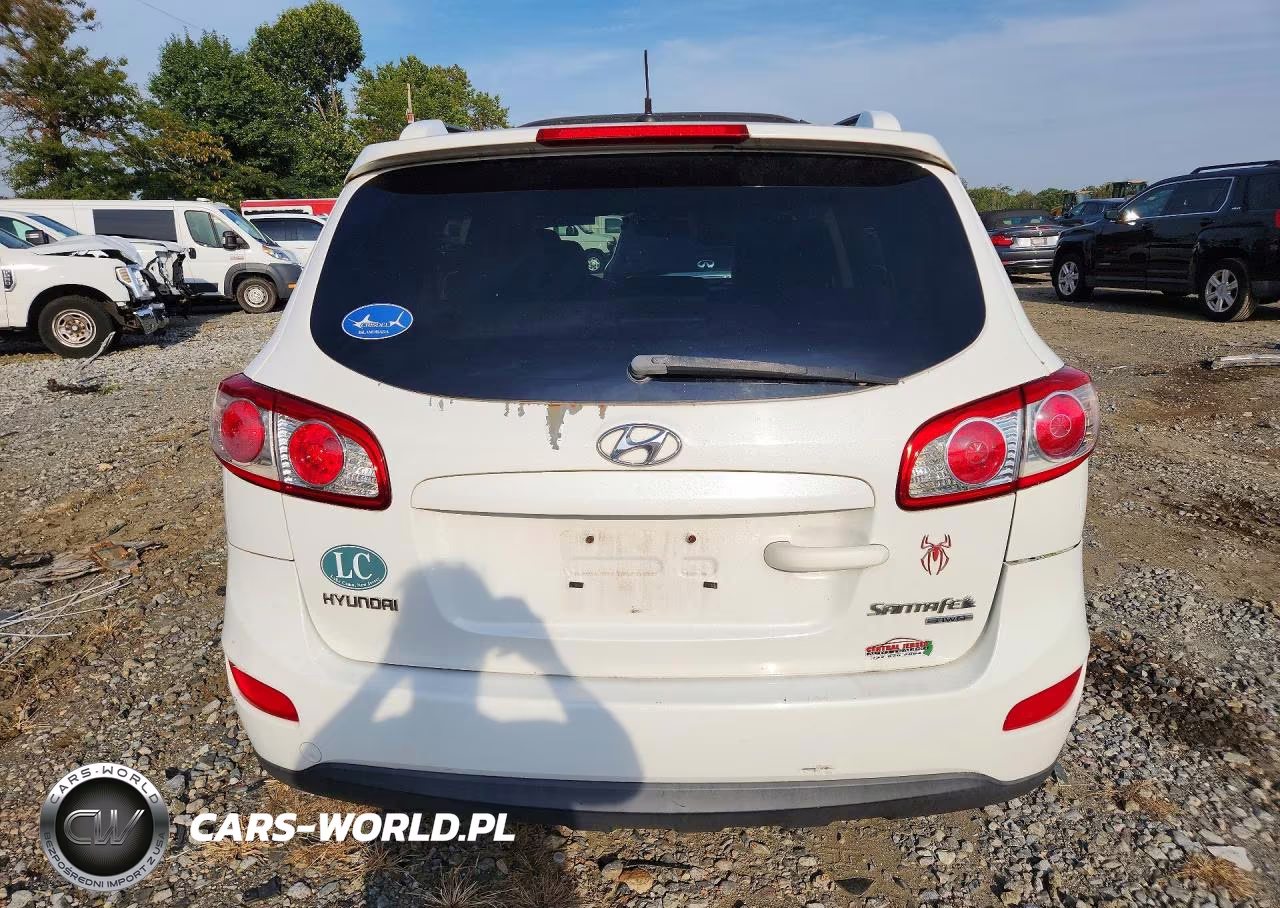 2010 Hyundai Santa Fe Se VIN:5NMSHDAG2AH345195 - 6