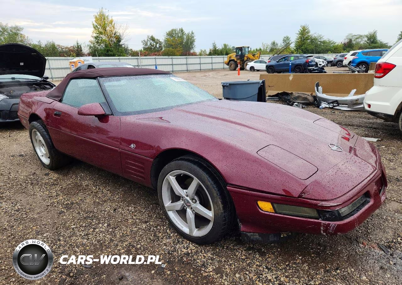1993 Chevrolet Corvette VIN:1G1YY33PXP5114745 - 4