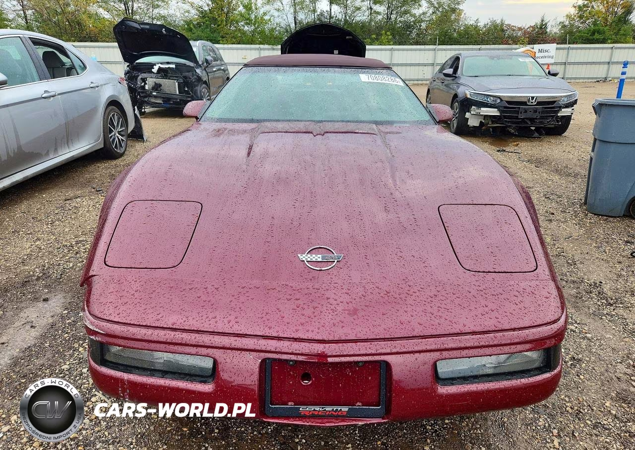 1993 Chevrolet Corvette VIN:1G1YY33PXP5114745 - 5
