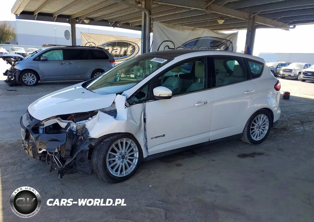 2013 Ford C-Max Sel VIN:1FADP5BU5DL548256 - 1