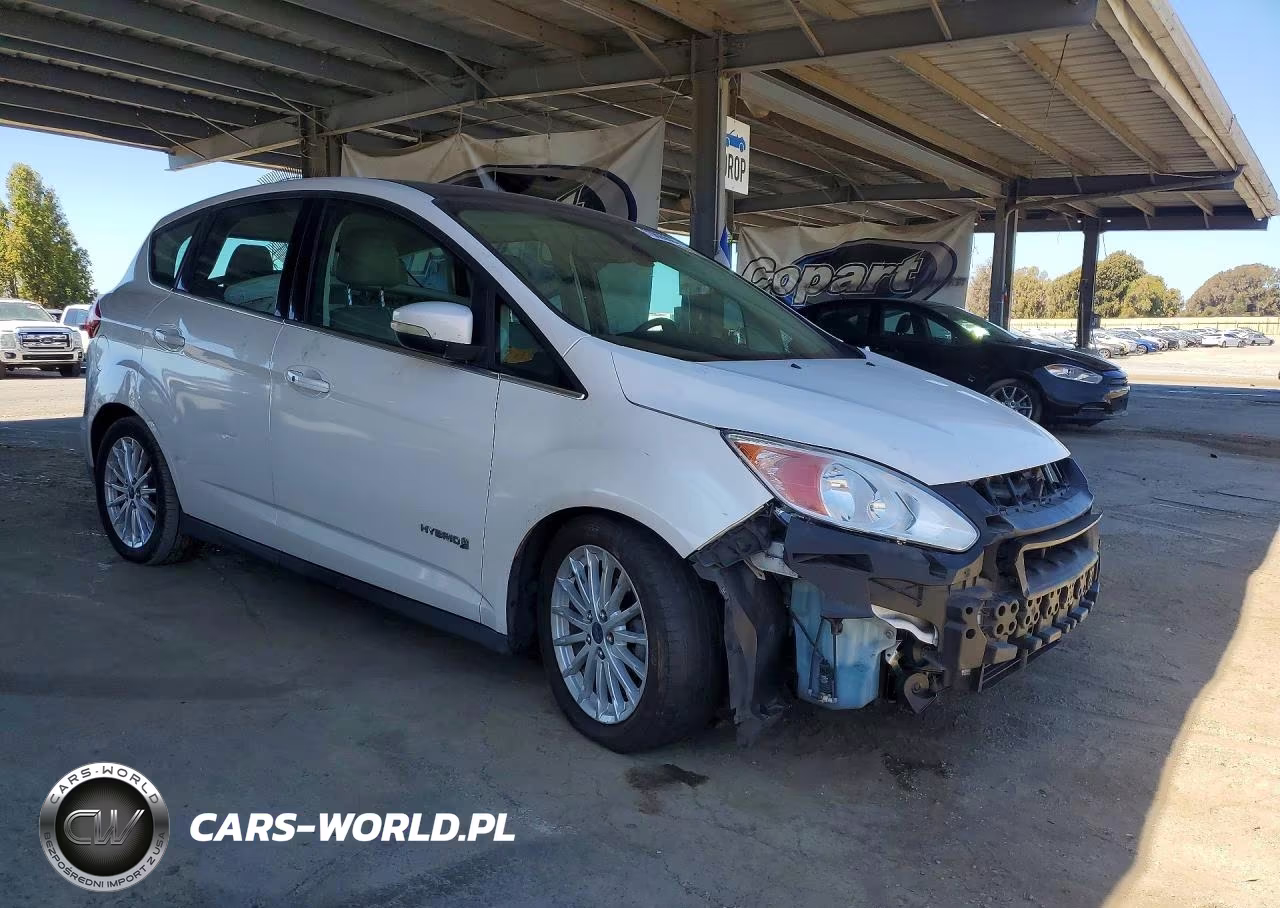 2013 Ford C-Max Sel VIN:1FADP5BU5DL548256 - 4