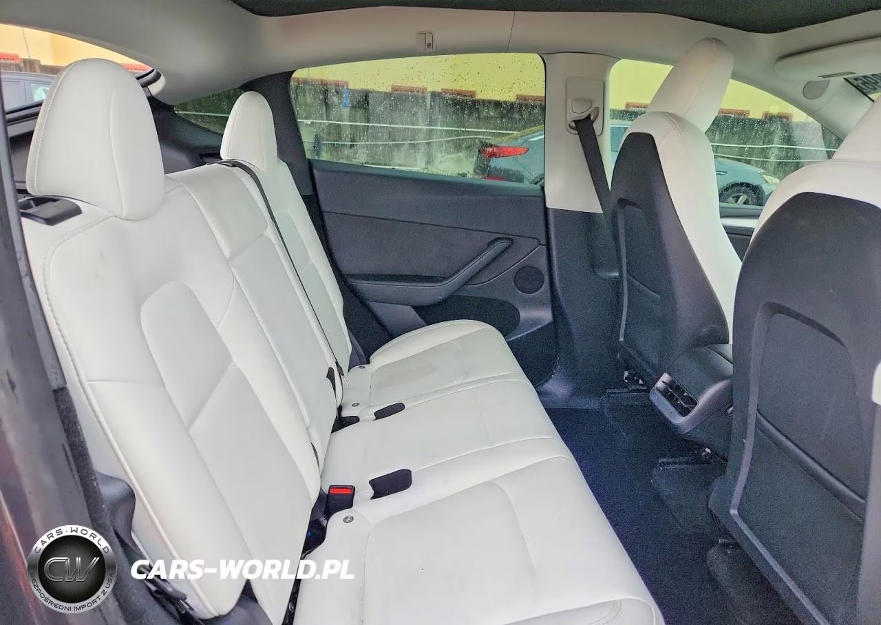 2023 Tesla Model Y VIN:7SAYGDEE1PF885169 - 10