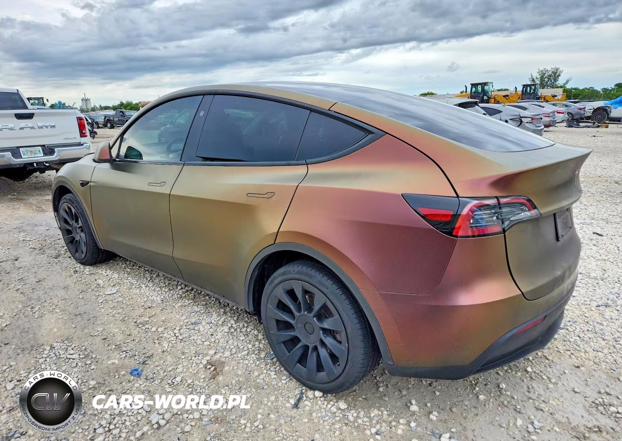 2023 Tesla Model Y VIN:7SAYGDEE1PF885169 - 2