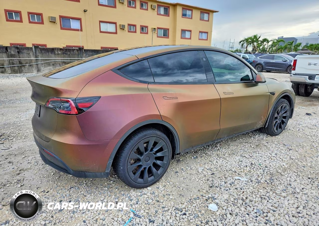 2023 Tesla Model Y VIN:7SAYGDEE1PF885169 - 3