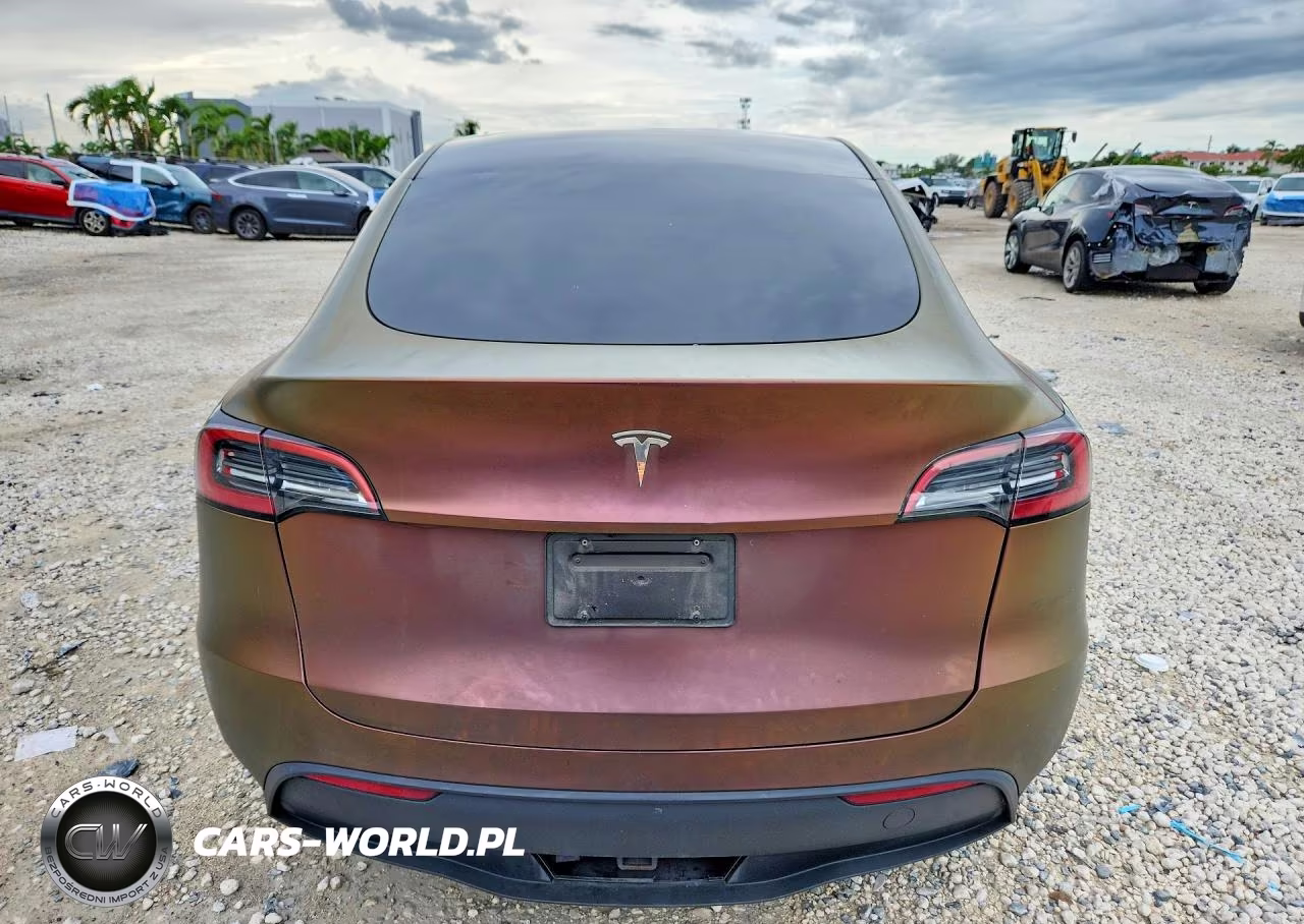 2023 Tesla Model Y VIN:7SAYGDEE1PF885169 - 6