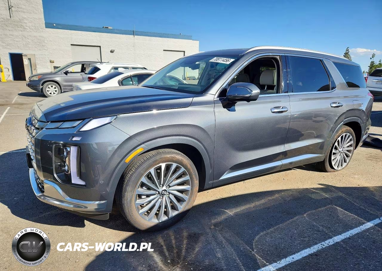 2025 Hyundai Palisade Calligraphy VIN:KM8R74GEXSU955326 - 1