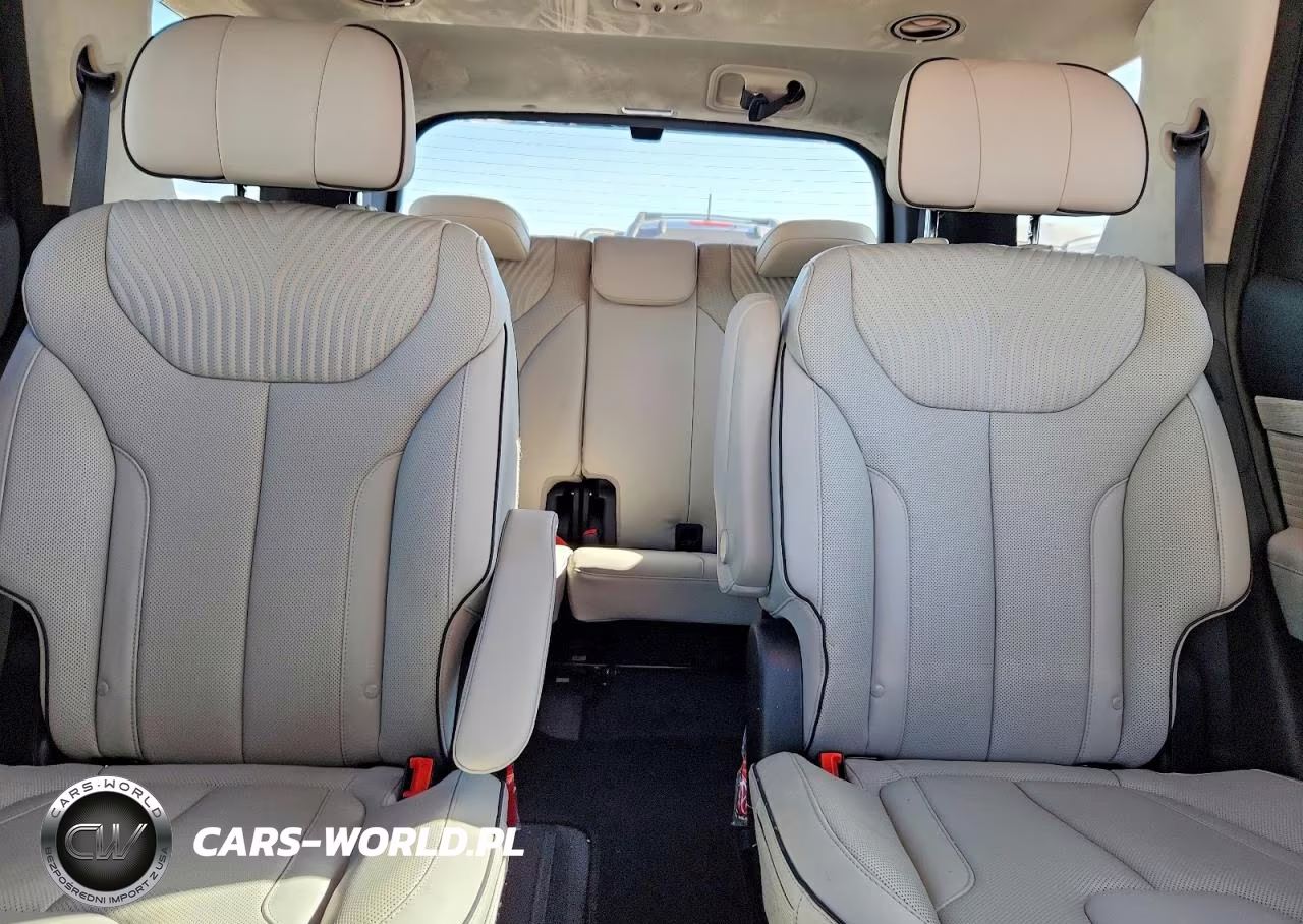 2025 Hyundai Palisade Calligraphy VIN:KM8R74GEXSU955326 - 10