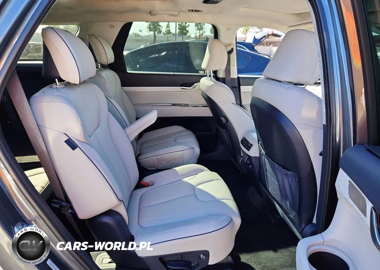 2025 Hyundai Palisade Calligraphy VIN:KM8R74GEXSU955326 - 11