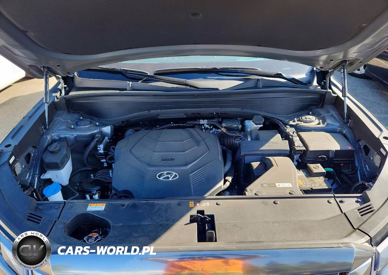 2025 Hyundai Palisade Calligraphy VIN:KM8R74GEXSU955326 - 12
