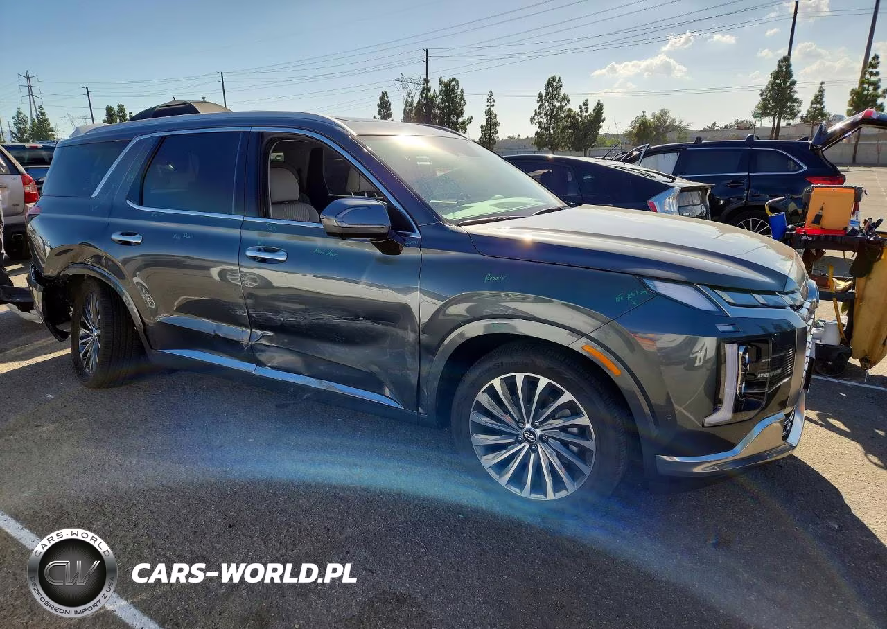 2025 Hyundai Palisade Calligraphy VIN:KM8R74GEXSU955326 - 4