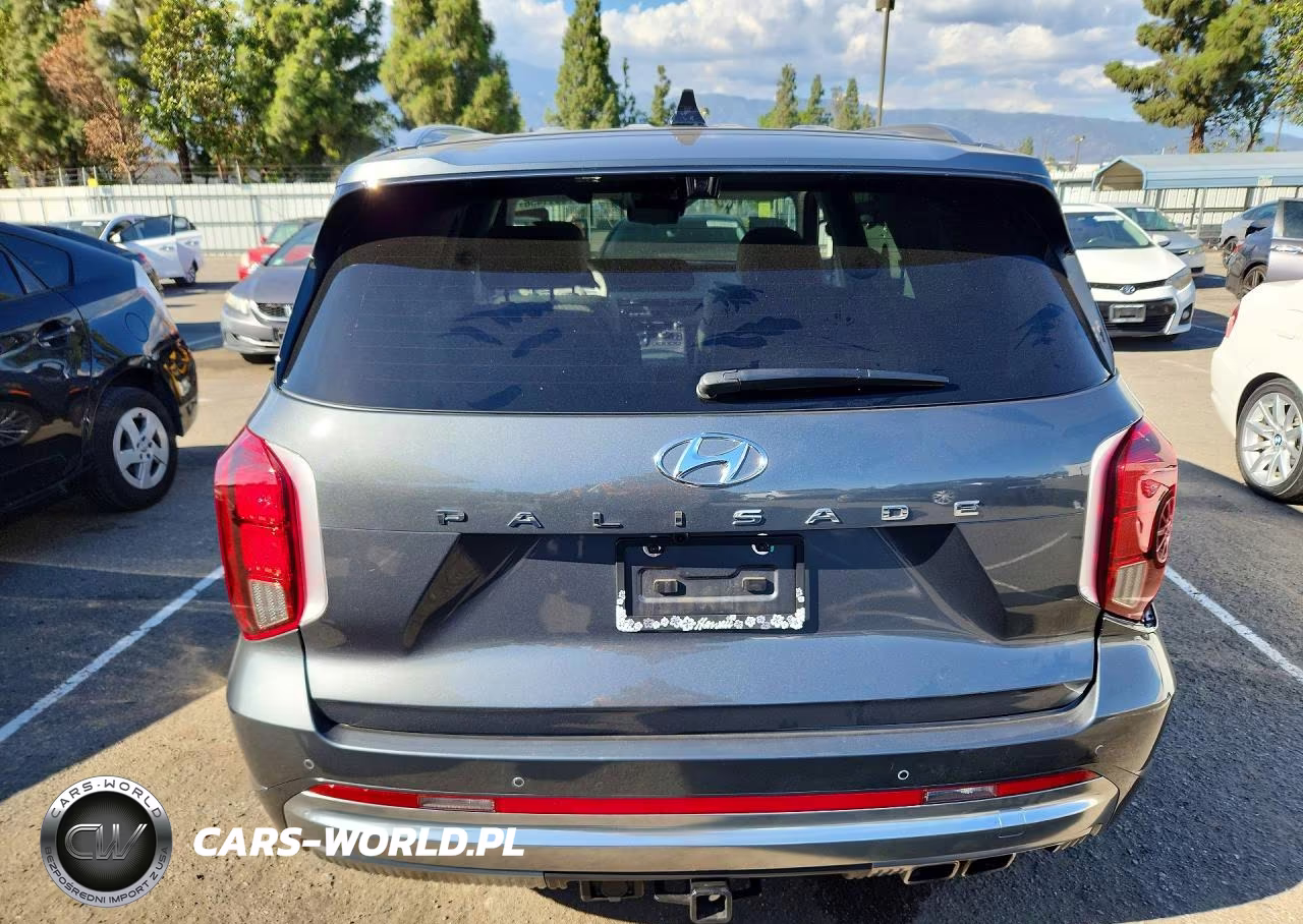 2025 Hyundai Palisade Calligraphy VIN:KM8R74GEXSU955326 - 6