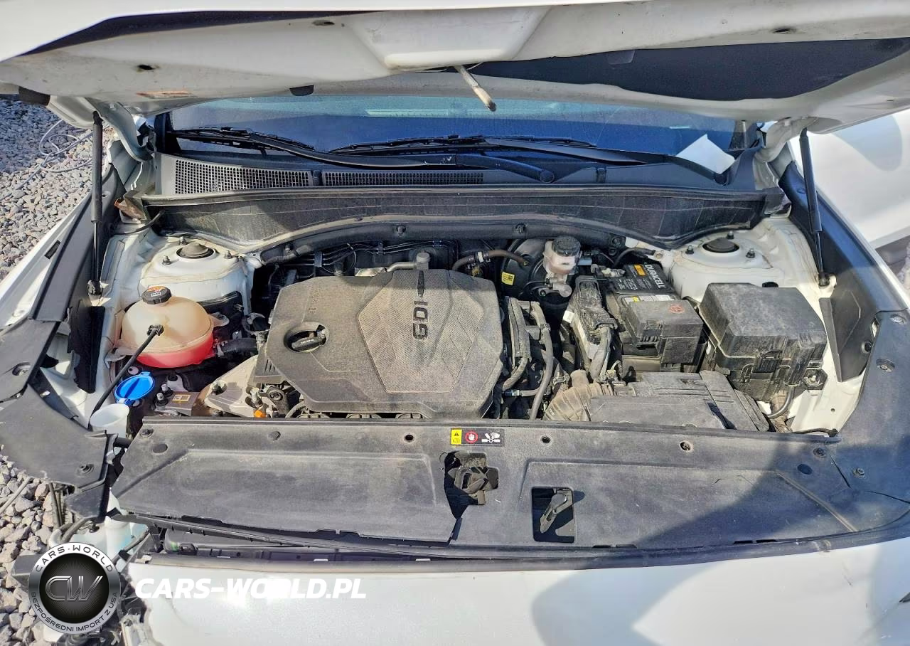 2022 Hyundai Santa Fe Xrt VIN:5NMS6DAJXNH400970 - 12