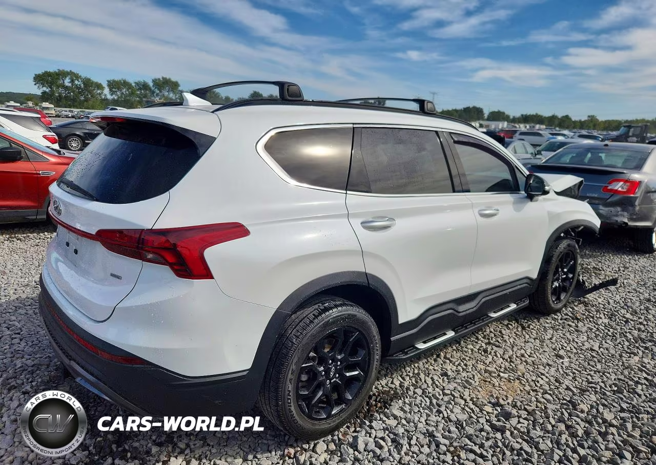 2022 Hyundai Santa Fe Xrt VIN:5NMS6DAJXNH400970 - 3
