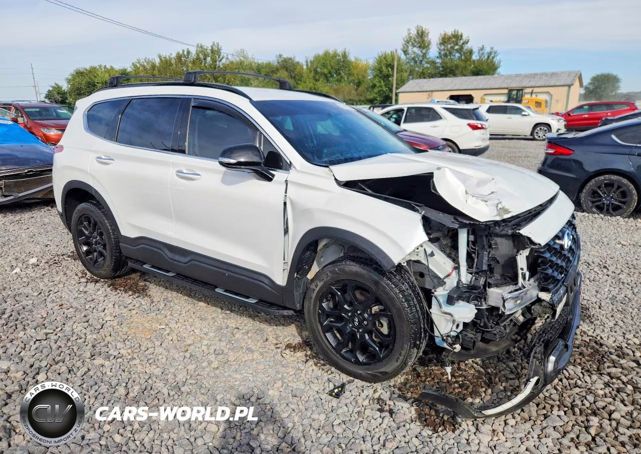 2022 Hyundai Santa Fe Xrt VIN:5NMS6DAJXNH400970 - 4