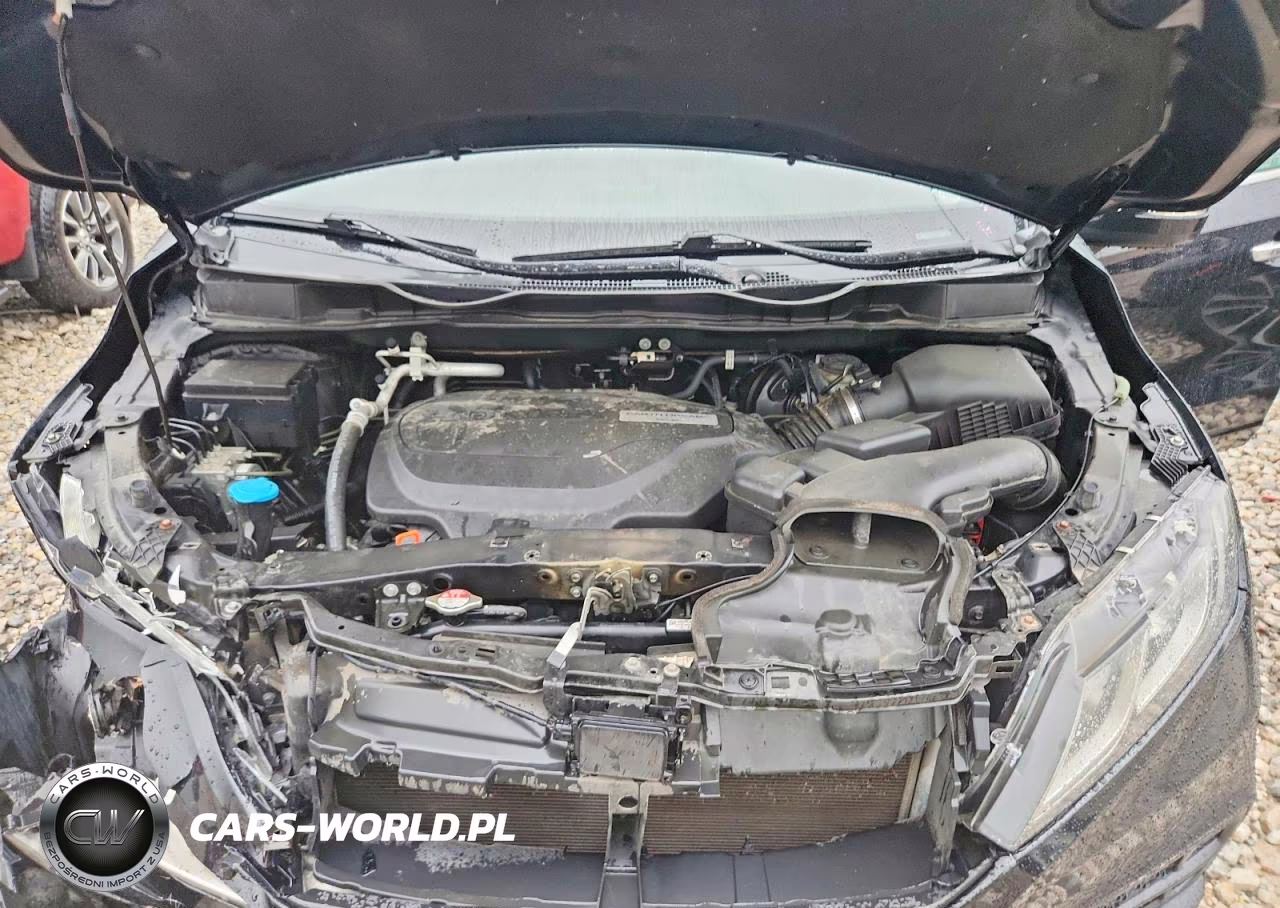 2019 Honda Odyssey Exl VIN:5FNRL6H70KB033913 - 12