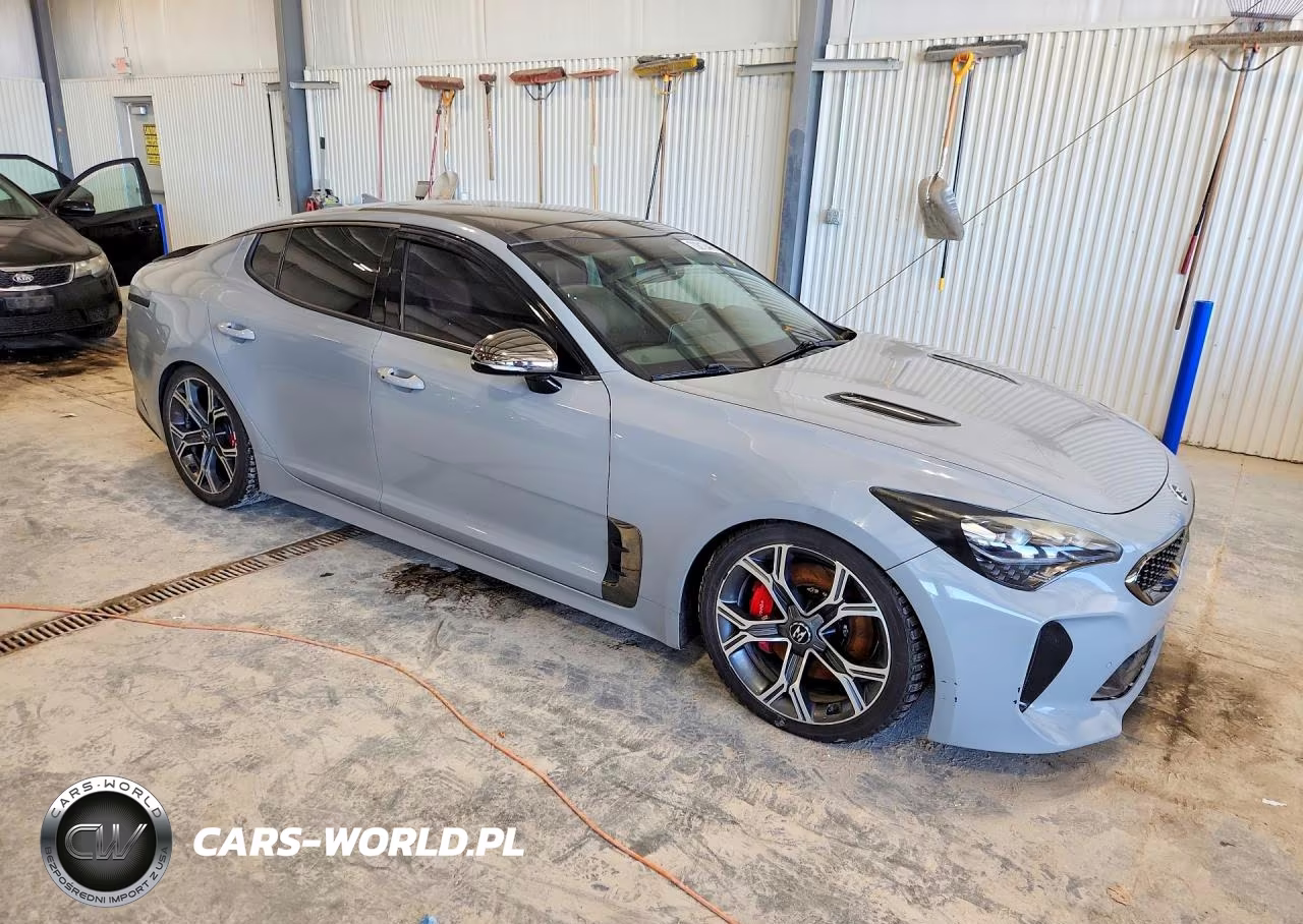 2018 Kia Stinger Gt2 VIN:KNAE55LC1J6025222 - 4