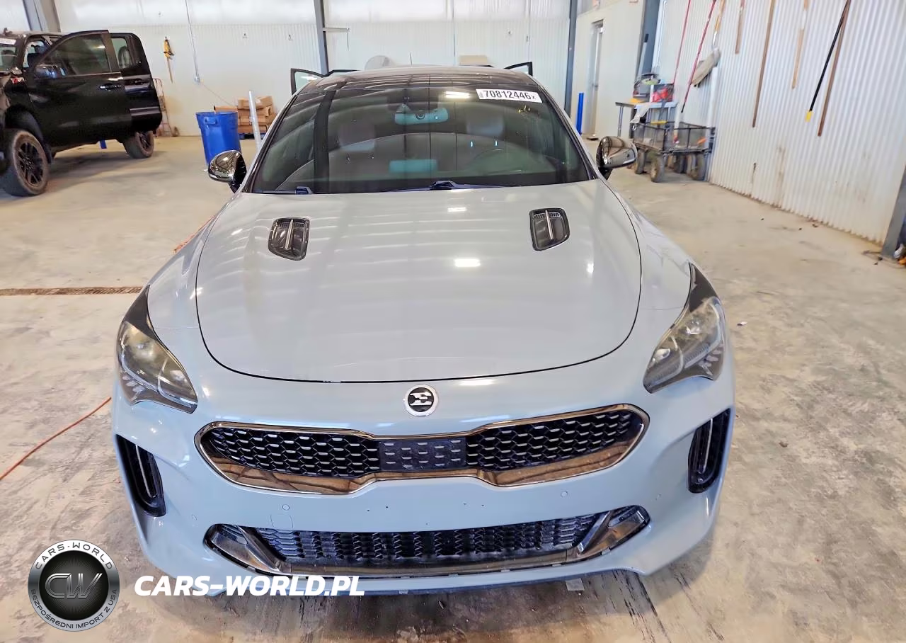 2018 Kia Stinger Gt2 VIN:KNAE55LC1J6025222 - 5