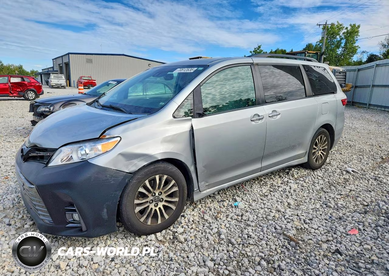 2019 Toyota Sienna Xle 8-Passenger VIN:5TDYZ3DC4KS973624 - 1