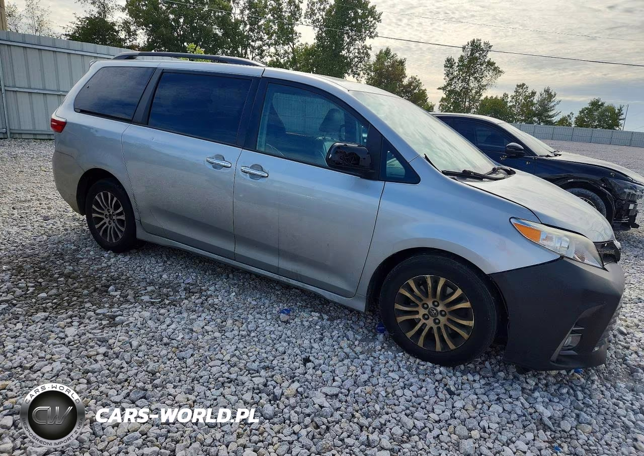 2019 Toyota Sienna Xle 8-Passenger VIN:5TDYZ3DC4KS973624 - 4