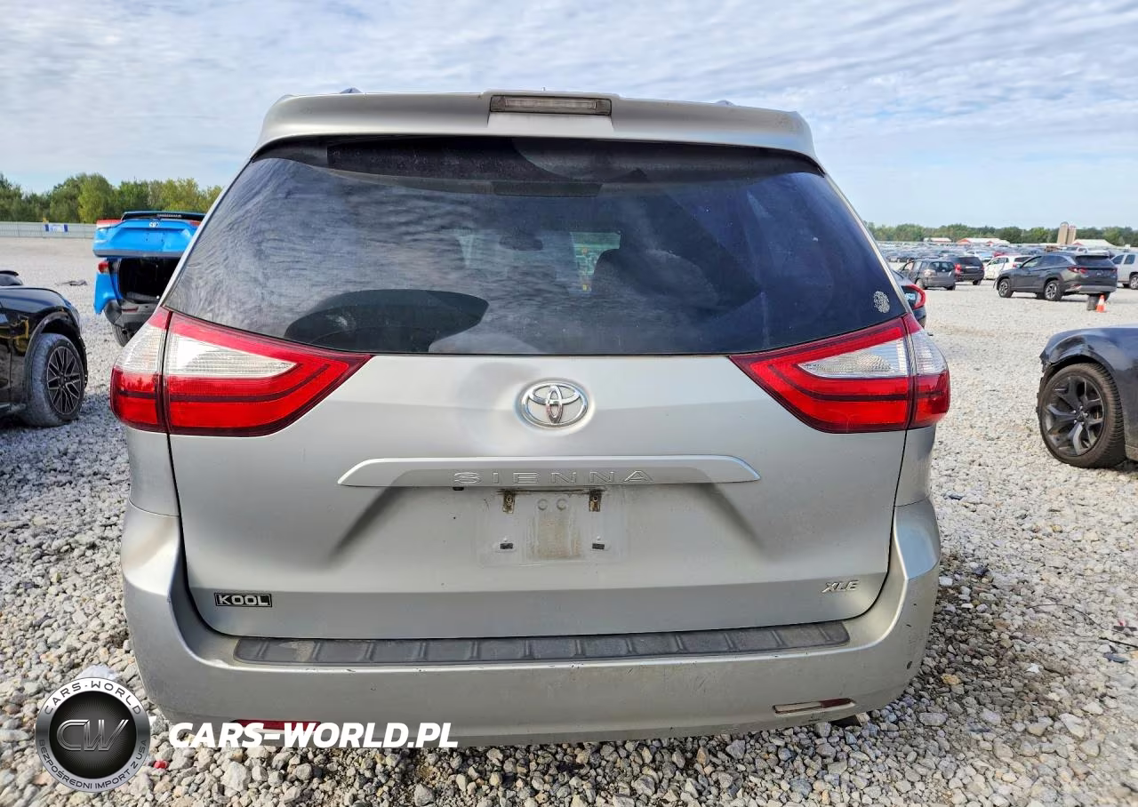 2019 Toyota Sienna Xle 8-Passenger VIN:5TDYZ3DC4KS973624 - 6
