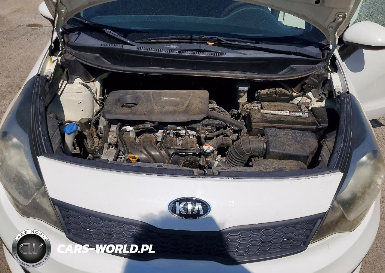 2017 Kia Rio Lx VIN:KNADM4A35H6040781 - 11