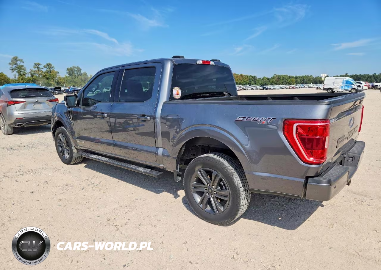 2023 Ford F150 Supercrew VIN:1FTFW1ED4PFD05616 - 2