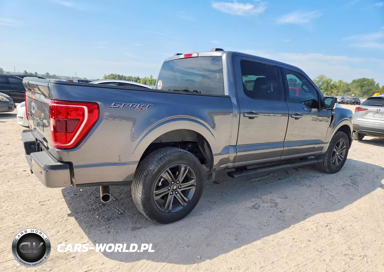 2023 Ford F150 Supercrew VIN:1FTFW1ED4PFD05616 - 3