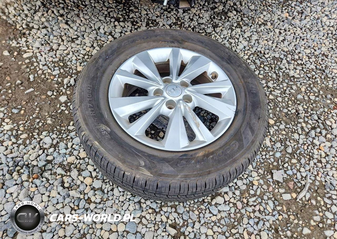2017 Kia Sedona Lx VIN:KNDMB5C1XH6282136 - 13