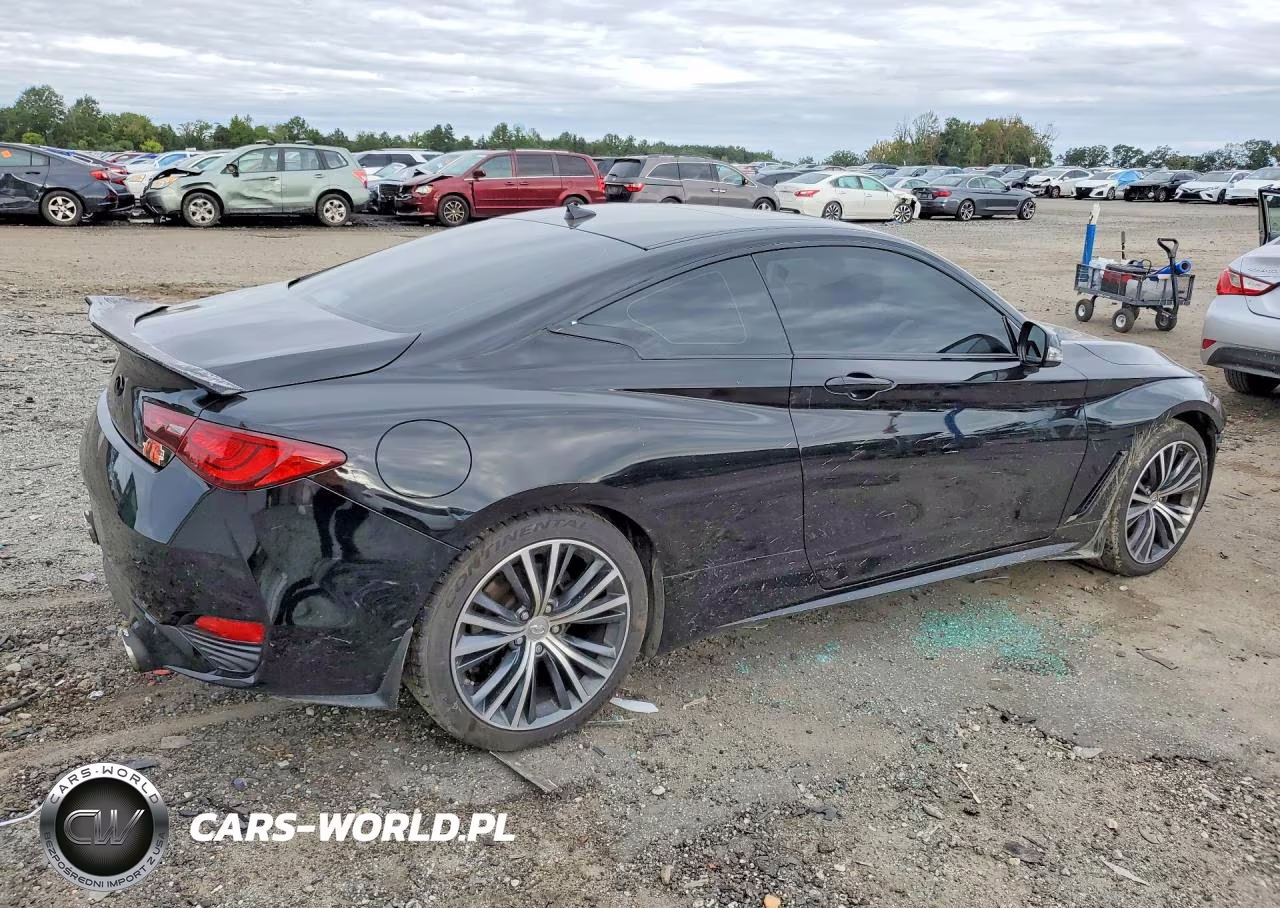 2019 Infiniti Q60 3.0T Luxe VIN:JN1EV7EL2KM291103 - 3