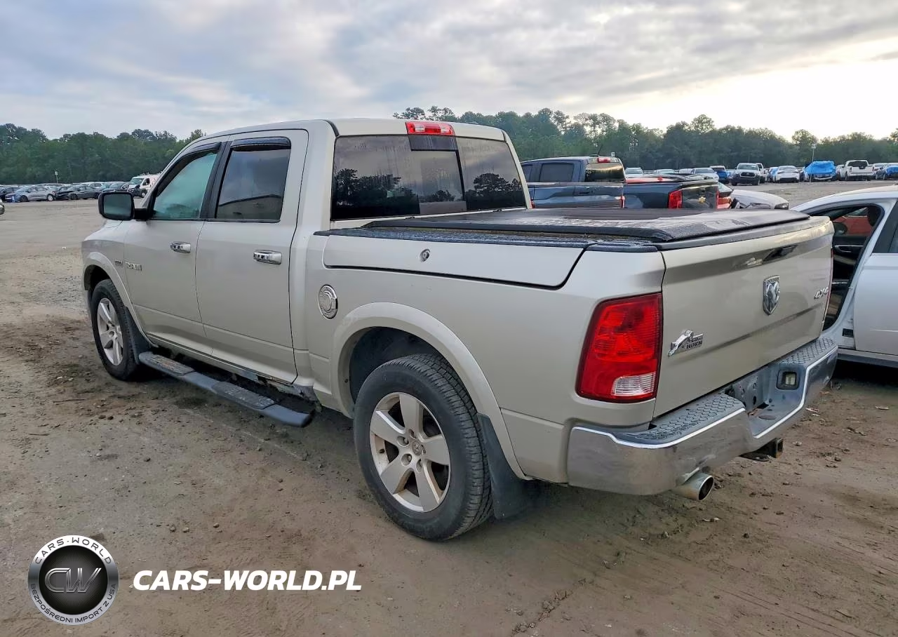 2009 Dodge Ram 1500 VIN:1D3HV13T89J523846 - 2