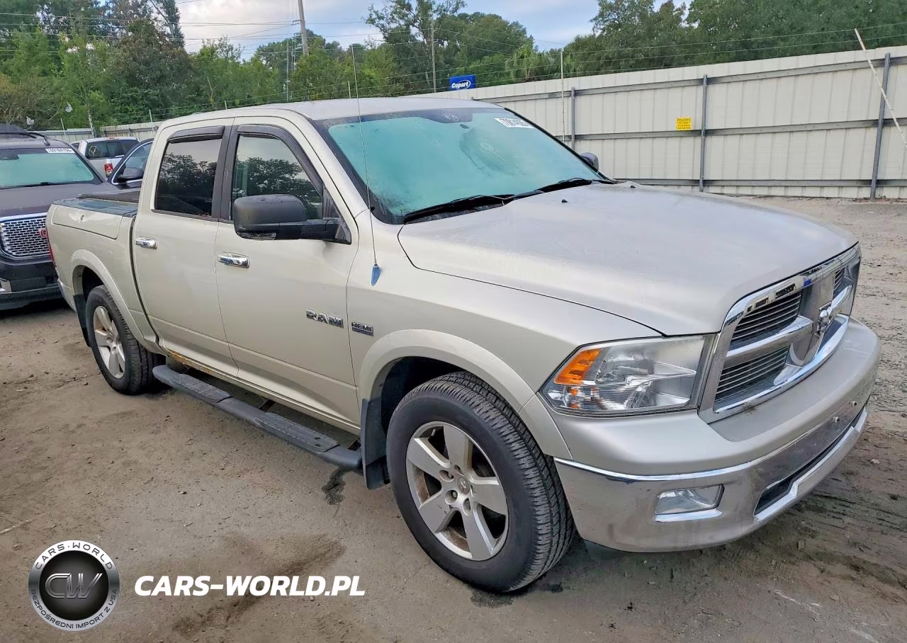 2009 Dodge Ram 1500 VIN:1D3HV13T89J523846 - 4