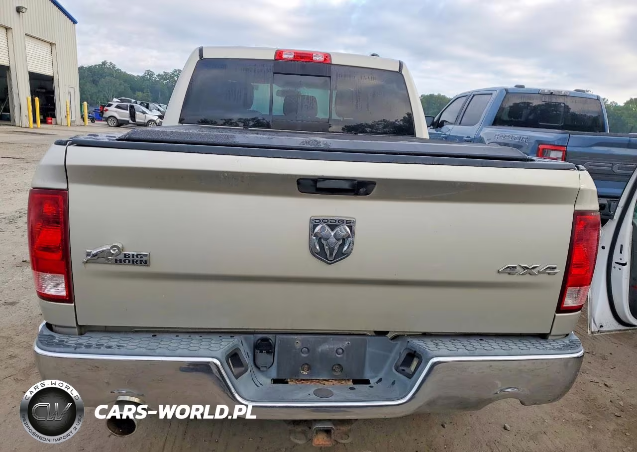 2009 Dodge Ram 1500 VIN:1D3HV13T89J523846 - 6