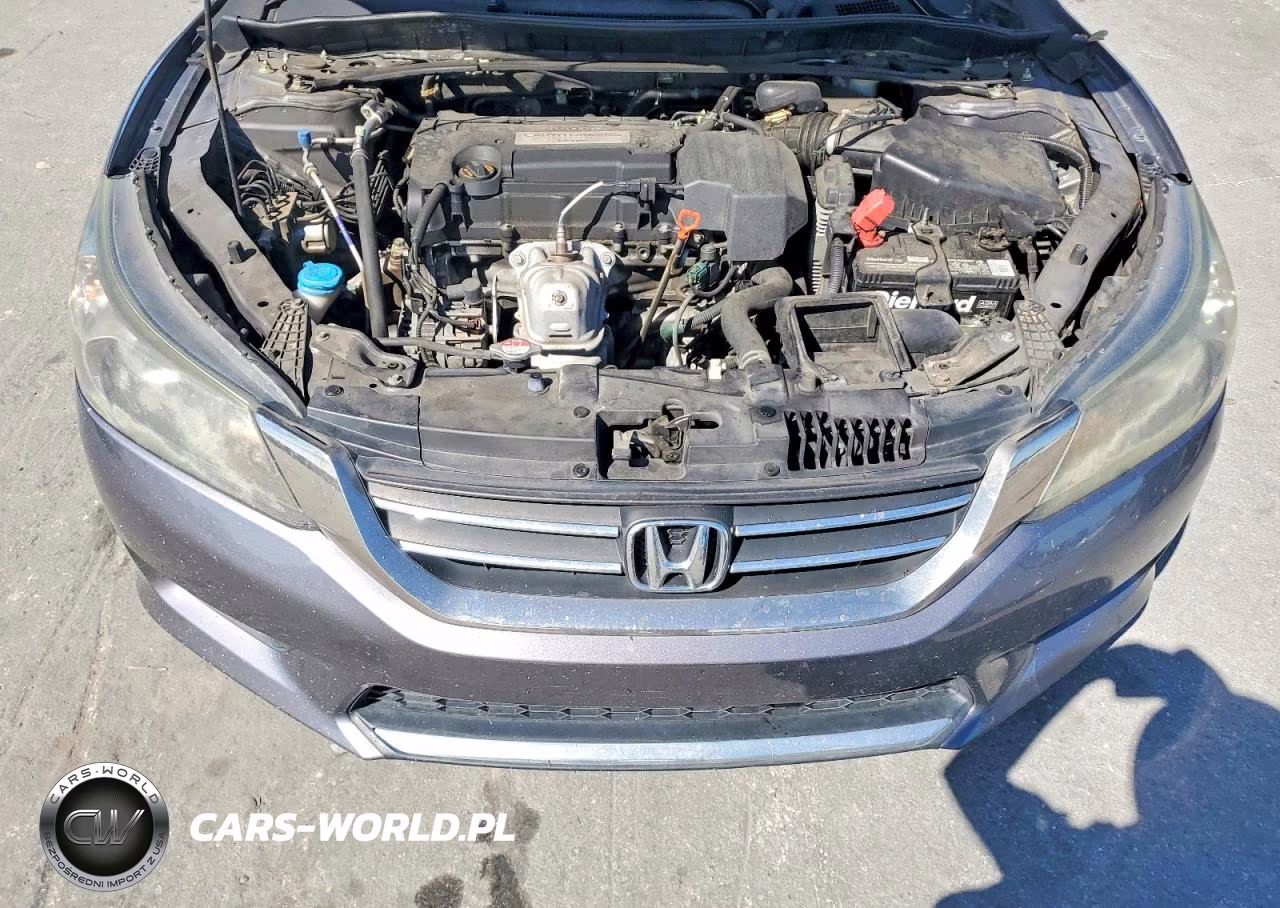 2013 Honda Accord Exl VIN:1HGCR2F81DA014809 - 11