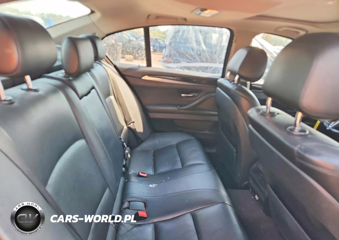 2015 BMW 528 Xi VIN:WBA5A7C56FD624175 - 10