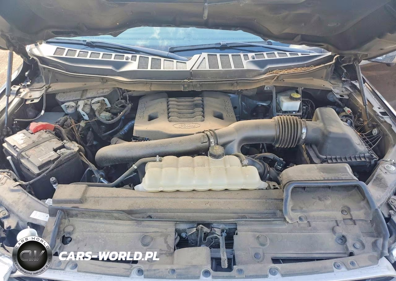 2022 Ford F150 Supercrew VIN:1FTFW1E81NKE87928 - 11