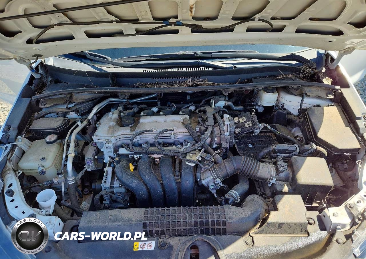 2020 Toyota Corolla Le VIN:5YFEPRAE1LP081813 - 11
