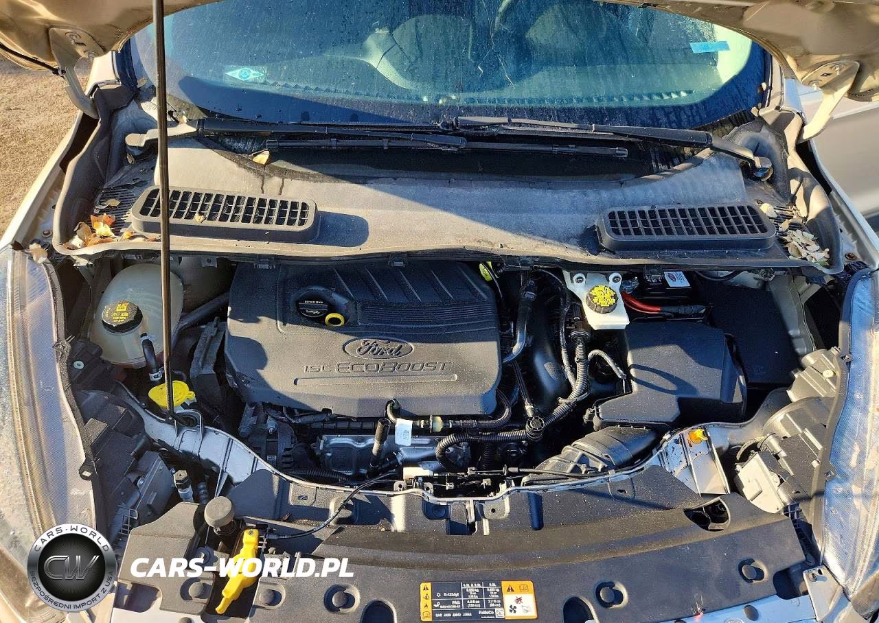 2017 Ford Escape Se VIN:1FMCU0GD8HUB66101 - 11